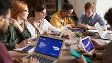 Consider the following issues for prospective franchisors