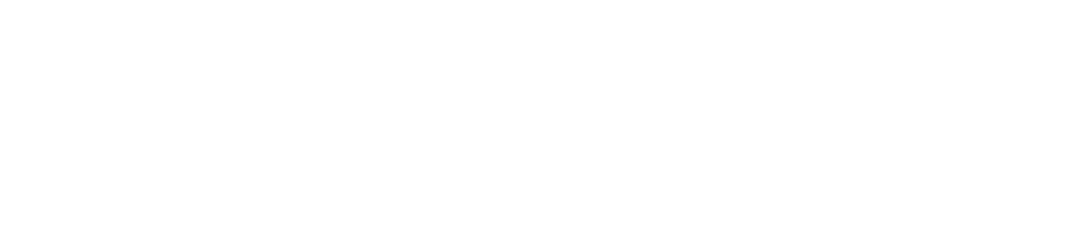 Logo Africa Franchise